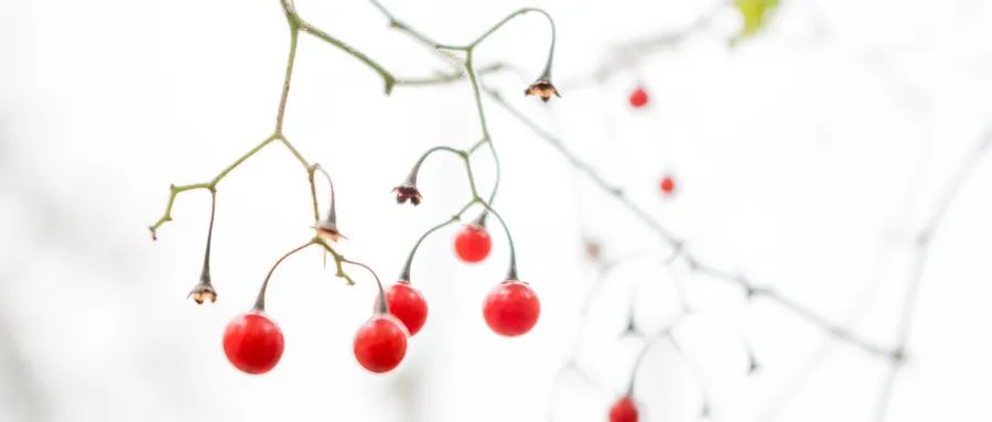 优胜教育濮阳分校