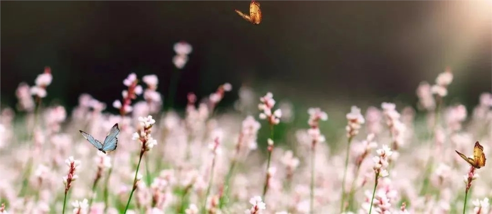 优胜教育濮阳分校