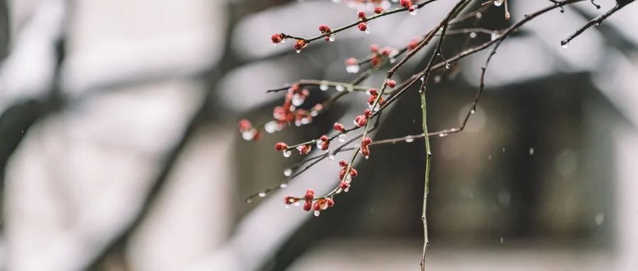 优胜教育濮阳分校