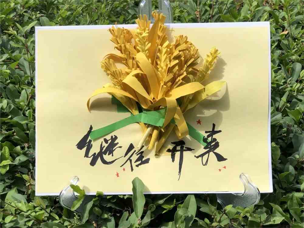 中国矿业大学银川学院