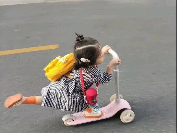 沙洲职业工学院