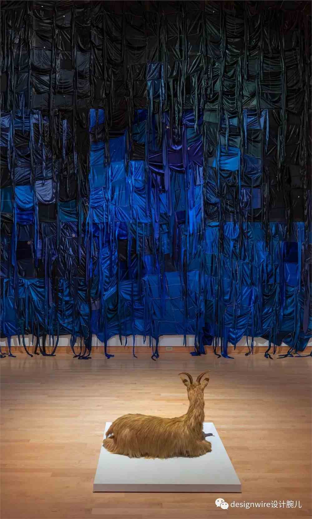 designwire设计腕儿