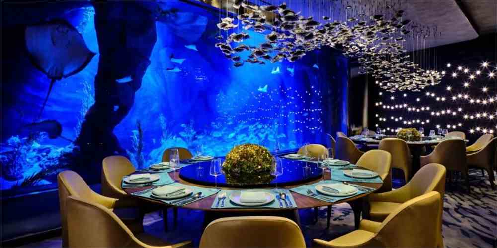 designwire设计腕儿