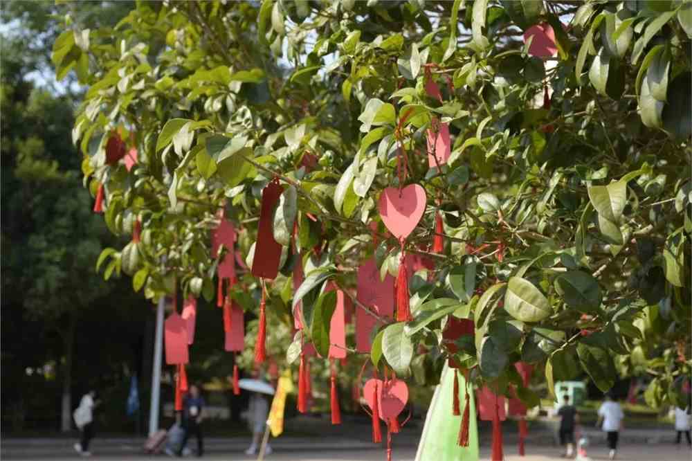 赣南卫生健康职业学院