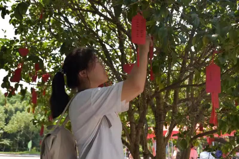 赣南卫生健康职业学院