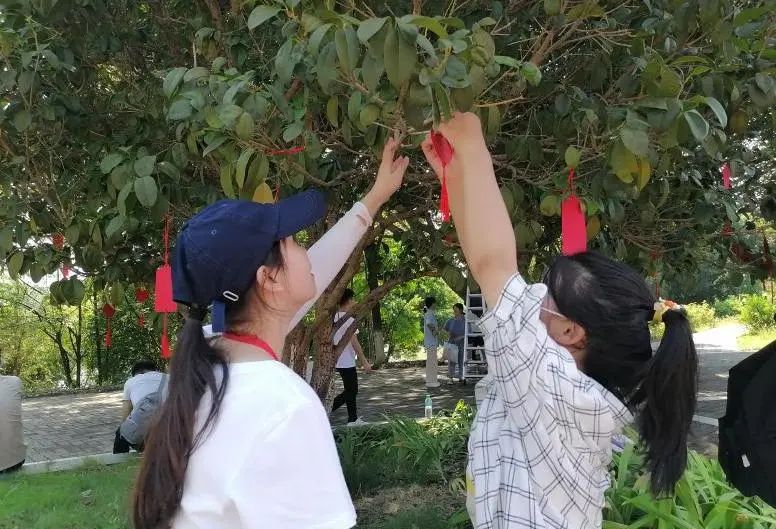 赣南卫生健康职业学院