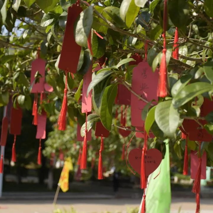 赣南卫生健康职业学院