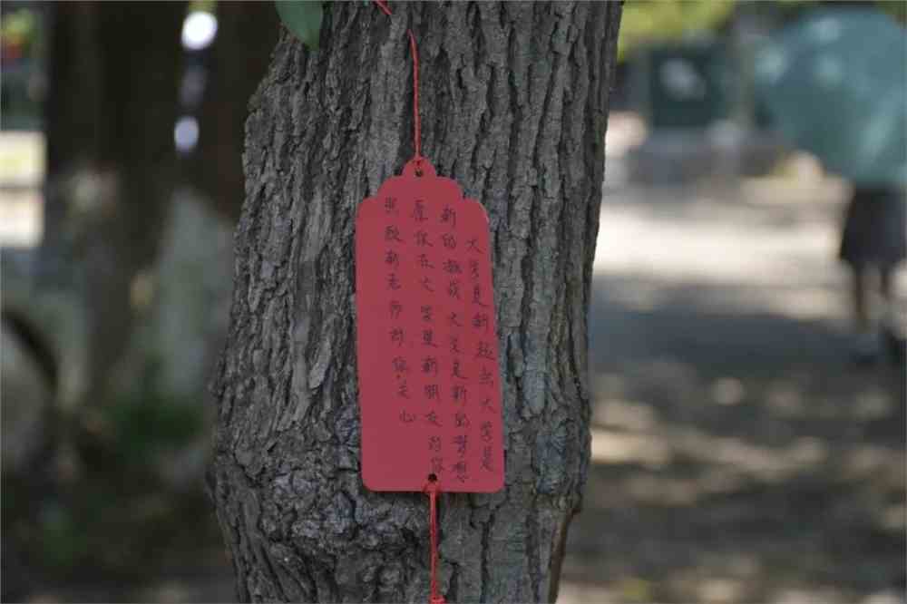 赣南卫生健康职业学院