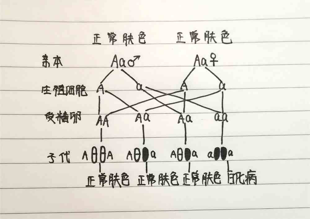 重庆医科大学
