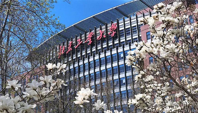 艺考帮福建艺考新方向