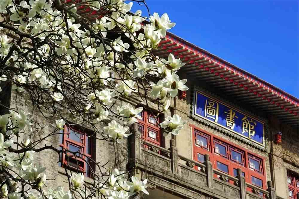 艺考帮福建艺考新方向