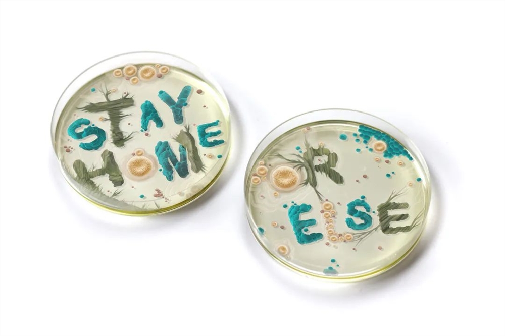 2021世界插画大赛WIA获奖作品出炉!各国画师风格迥异 世界插画大赛