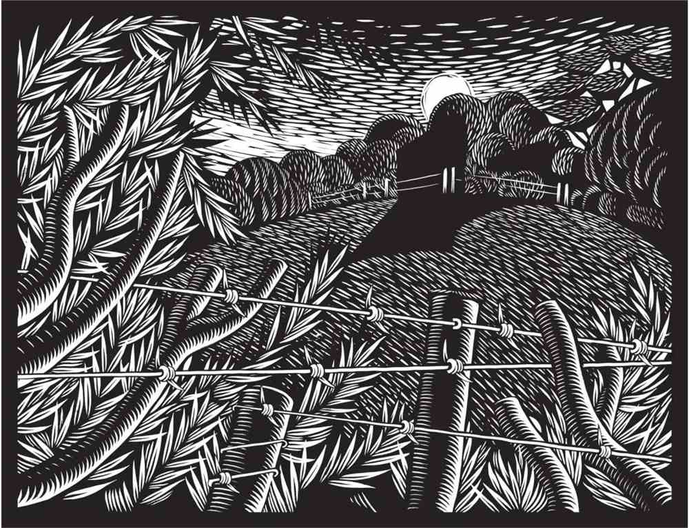 2021世界插画大赛WIA获奖作品出炉!各国画师风格迥异 世界插画大赛