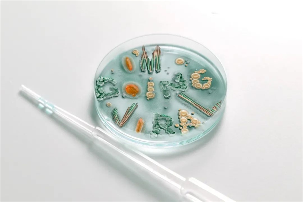 2021世界插画大赛WIA获奖作品出炉!各国画师风格迥异 世界插画大赛