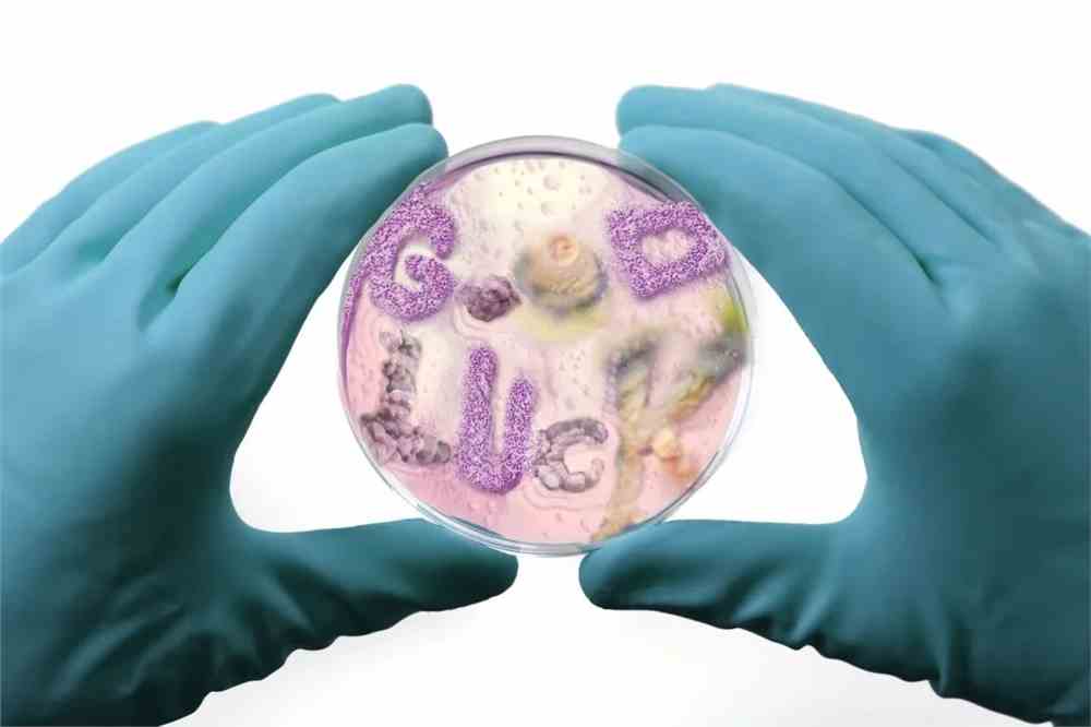 2021世界插画大赛WIA获奖作品出炉!各国画师风格迥异 世界插画大赛