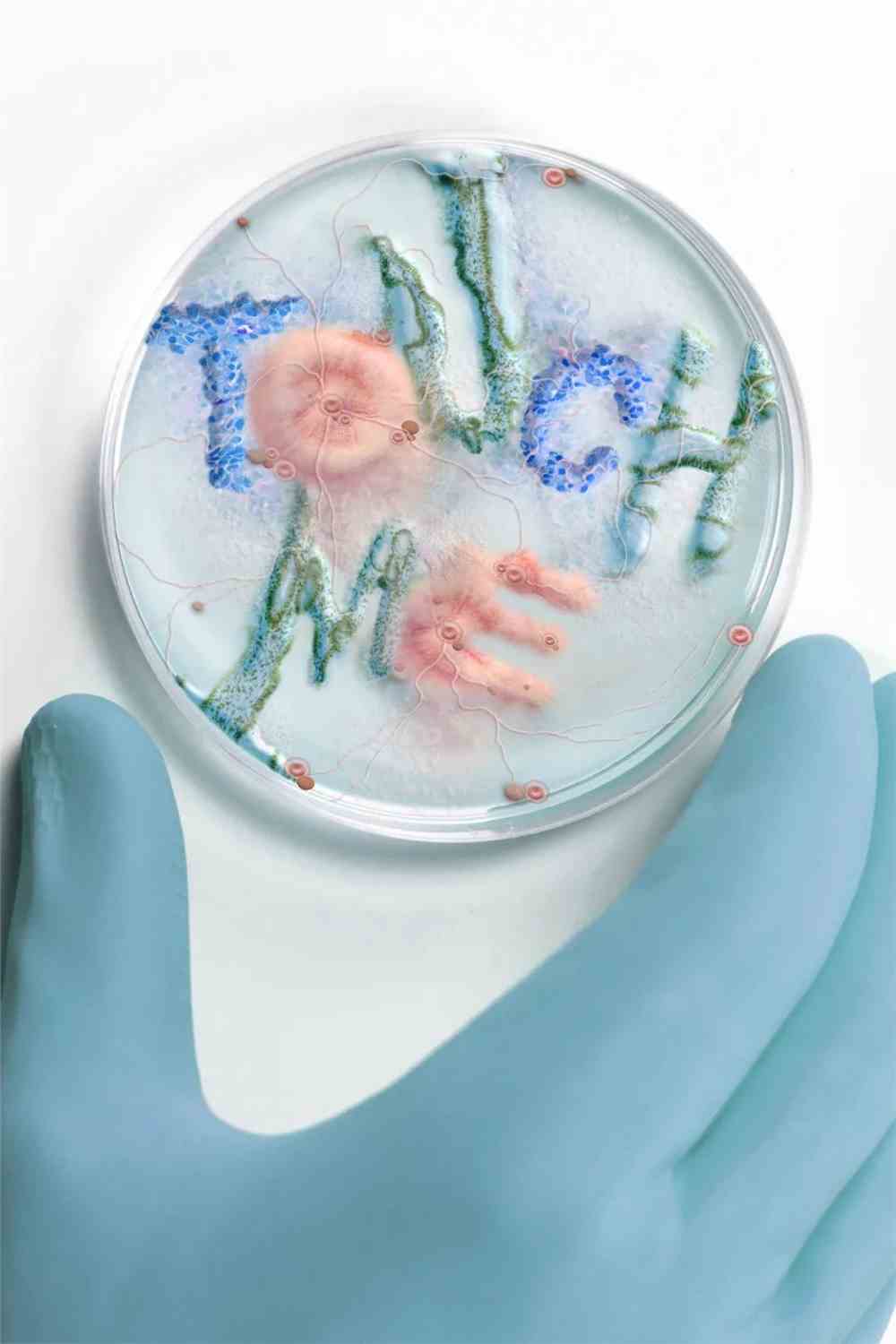 2021世界插画大赛WIA获奖作品出炉!各国画师风格迥异 世界插画大赛